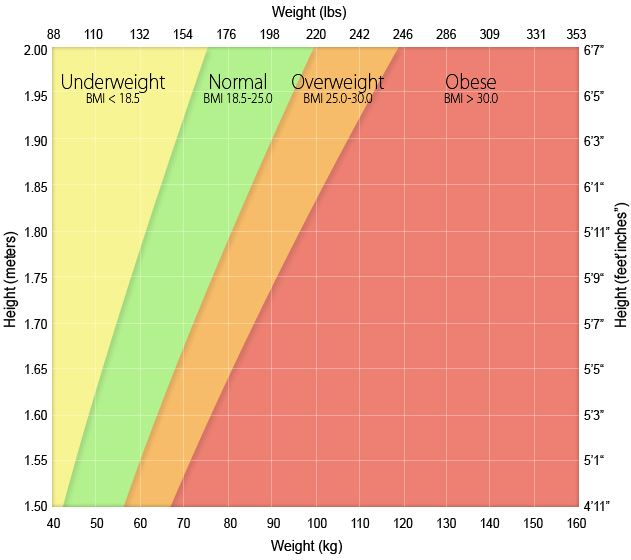 What Should I Weight Chart